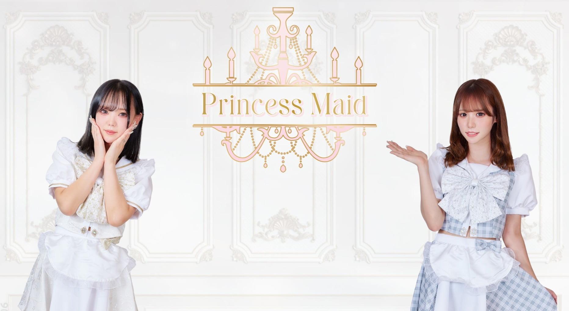 PrincessMaid（プリンセスメイド ）の店舗画像 1