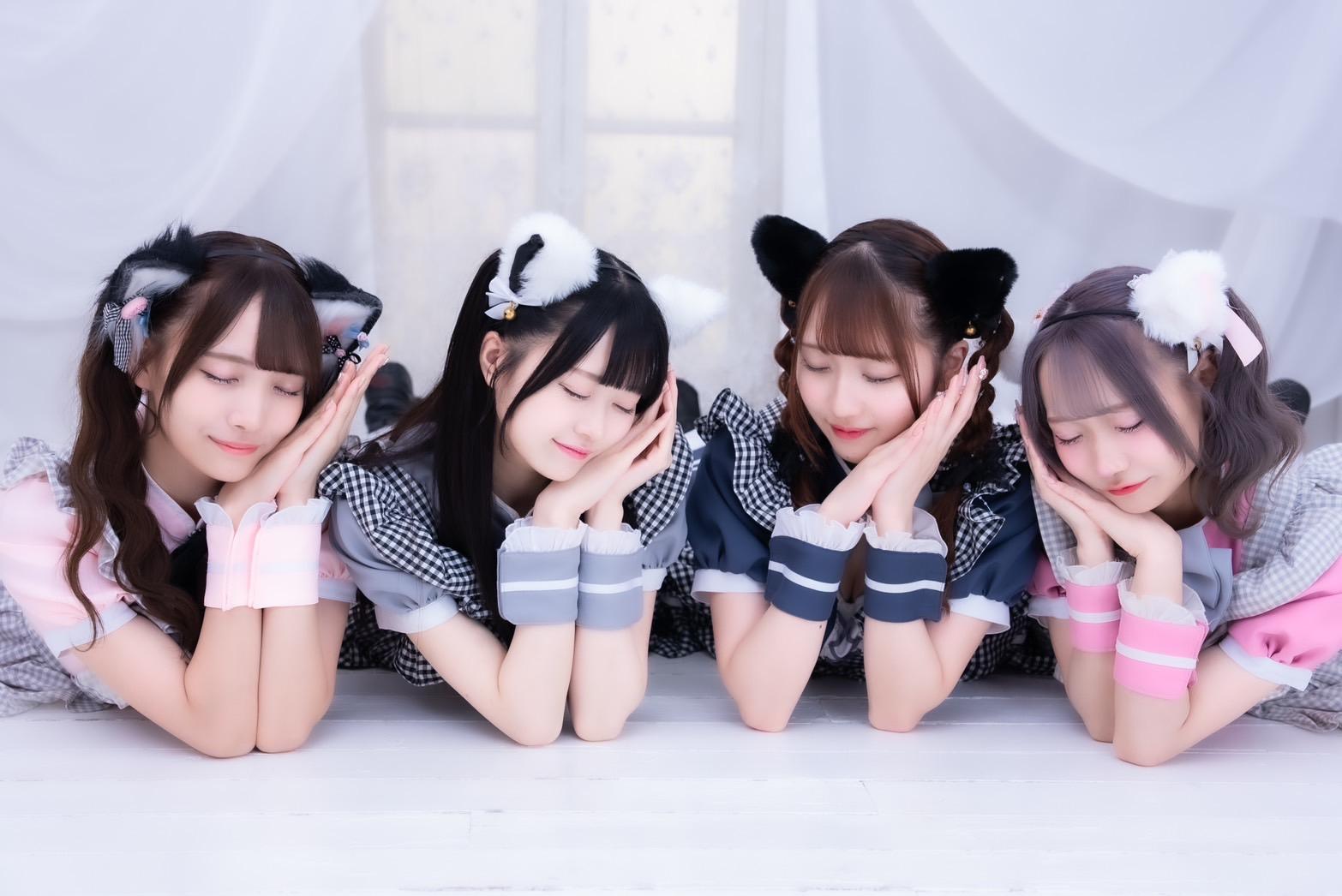 あんどて〜るの店舗画像 5